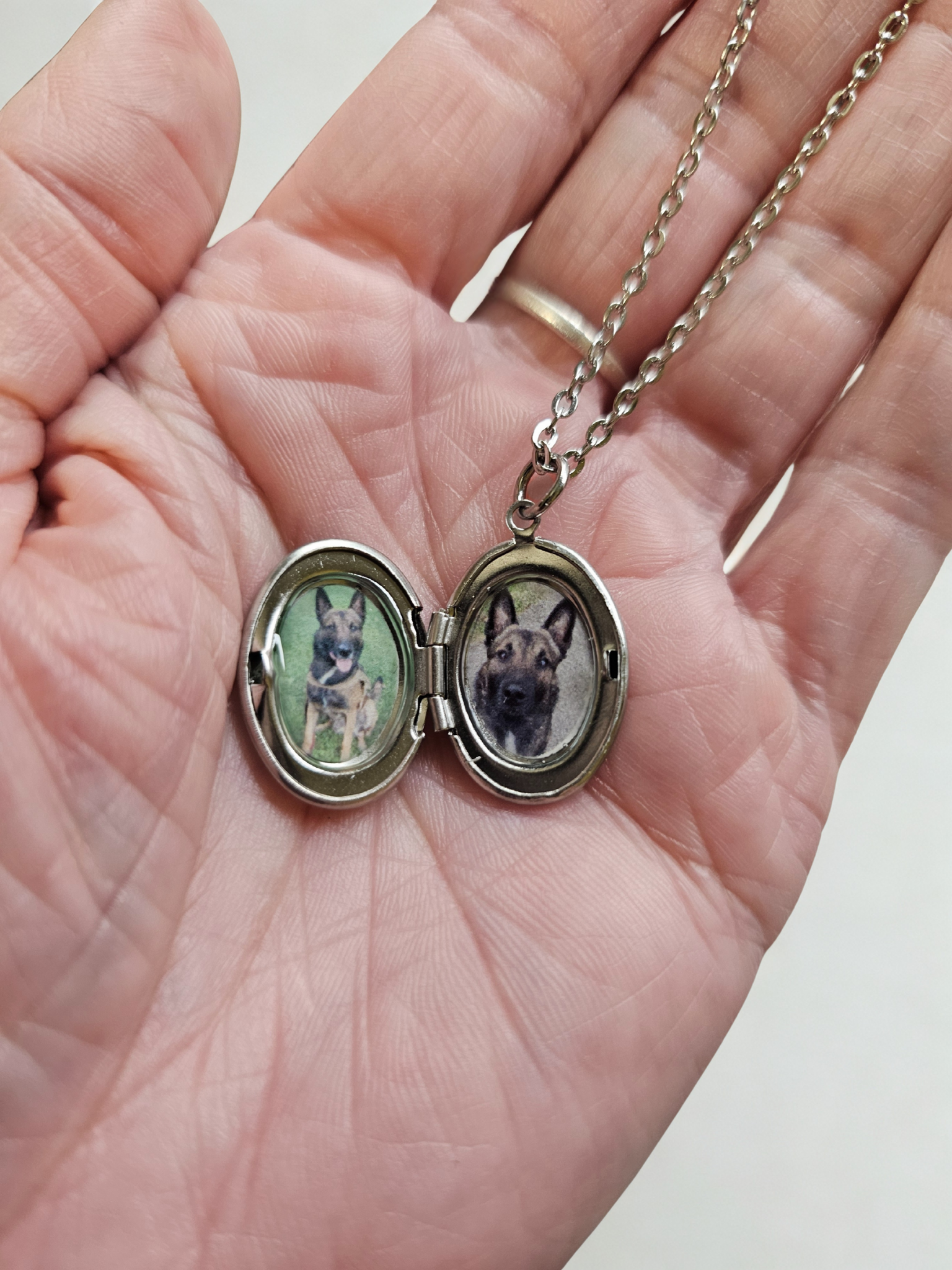Custom Pet Locket Necklace β Photo Keepsake Jewelry with Your Dog, Cat, or Pet's Picture β Personalized Gift for Pet Lovers