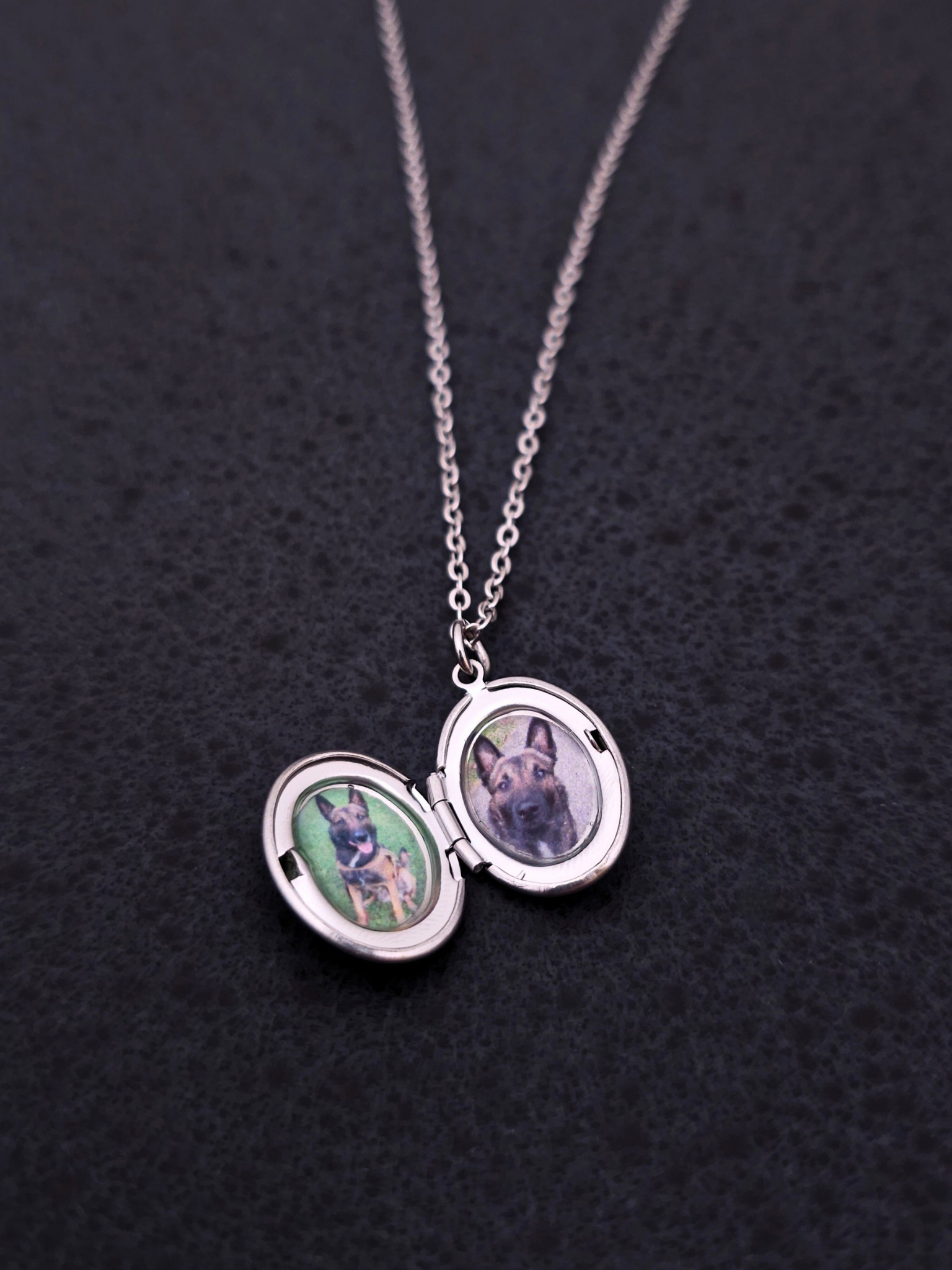 Custom Pet Locket Necklace β Photo Keepsake Jewelry with Your Dog, Cat, or Pet's Picture β Personalized Gift for Pet Lovers