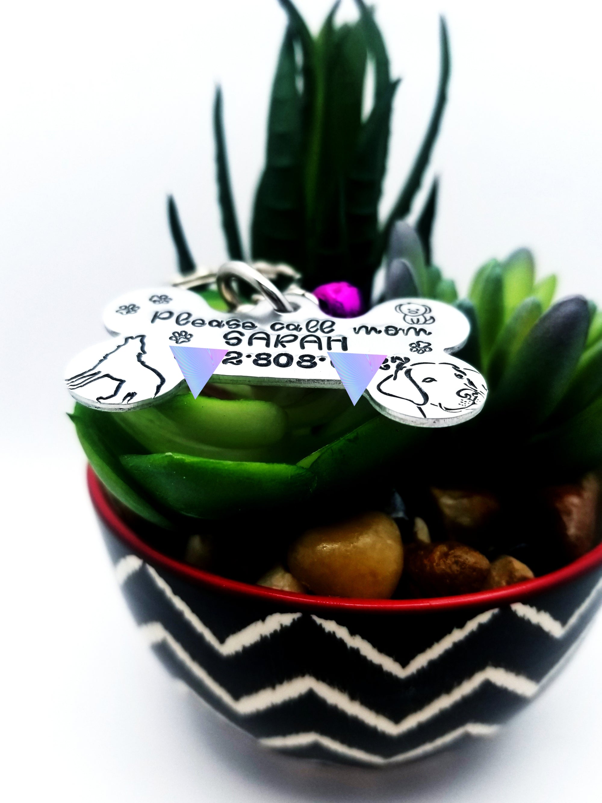 Pet Tag, Dog Collar Tag, Cat Collar Tag, Personalized Pet Tag, ID Tag for Pets, Collar Tags