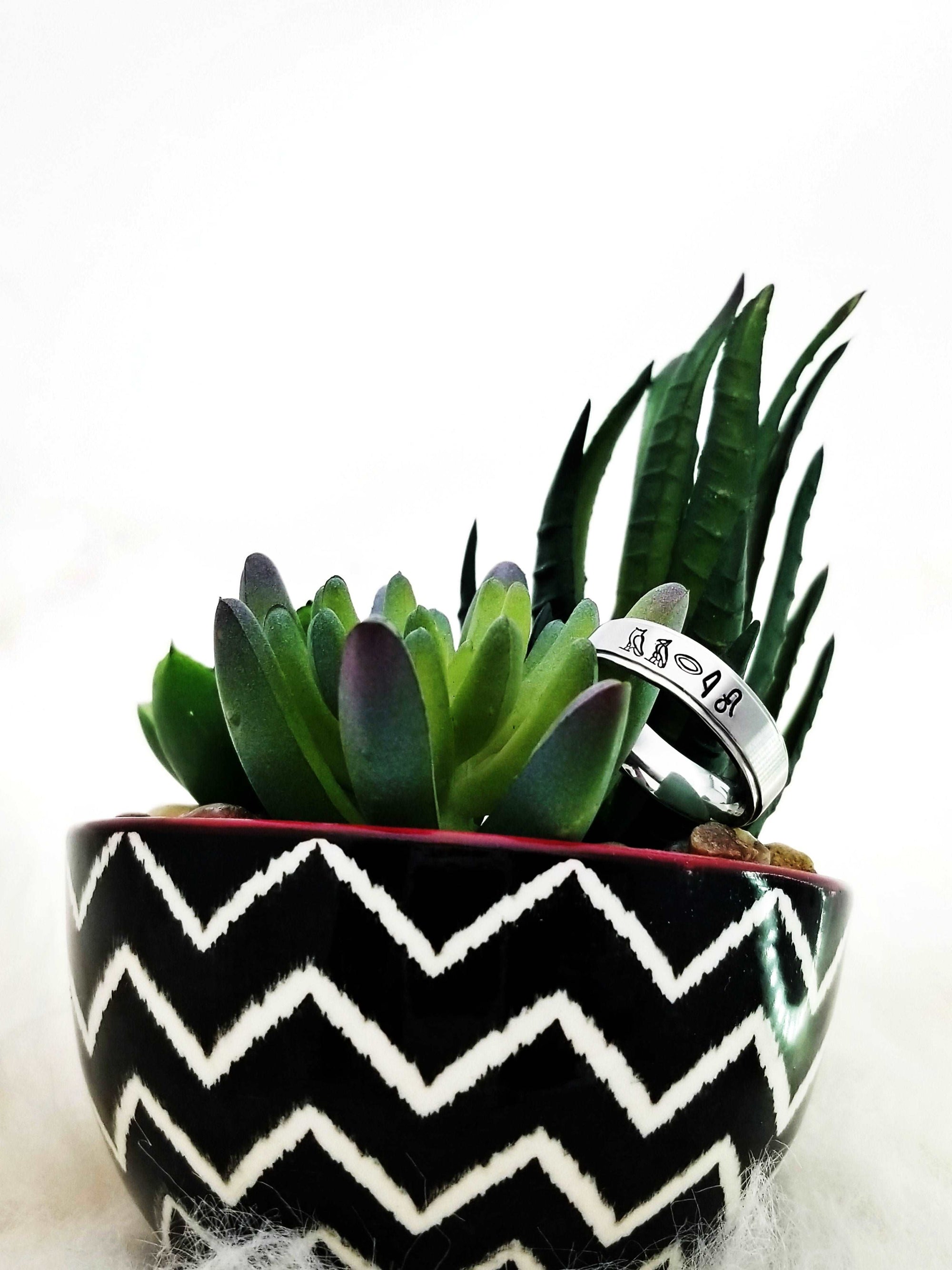 Heiroglyph Ring, Egyptian Name Ring, Egyptian Hieroglyphics Jewelry, Custom Hand Stamped Rings, Stainless Ring, Gifts for her, Gift for him