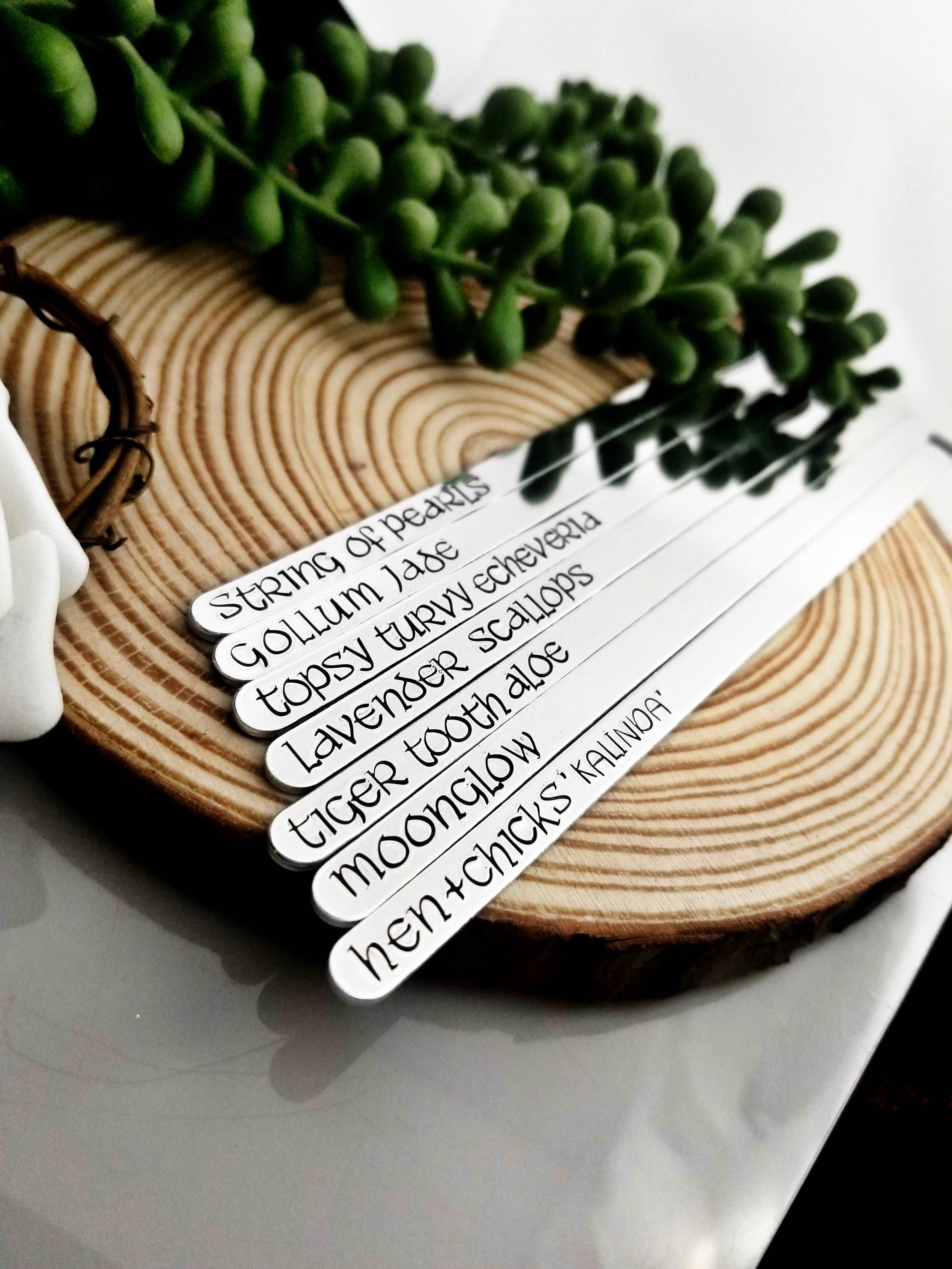 Custom Plant Markers, Succulent Plant ID, Plant Name Markers, Metal Plant Markers, Succulent Plant Markers